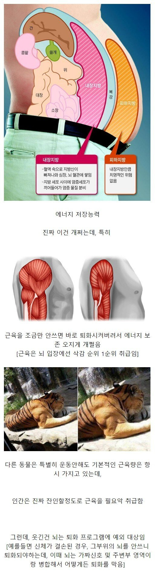 인간이 가진 S급 능력 | 인스티즈