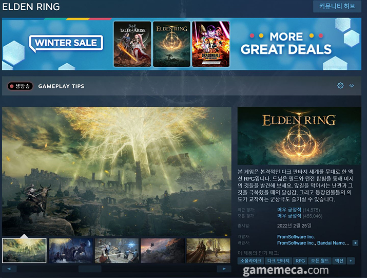 엘든 링 유저 평가는 '매우 긍정적'이다 (사진 출처: 게임 스팀 페이지)