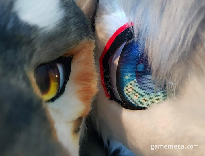 필름을 써 최대한 티가 나지 않게 밖을 보게 하거나, 타공을 통해 시야를 트는 방법이 주류 (사진제공: 펀즈이누)