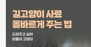 뉴스 썸네일 이미지