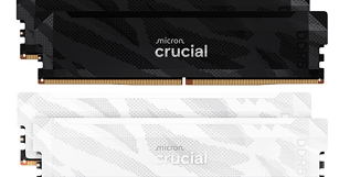 뉴스 썸네일 이미지