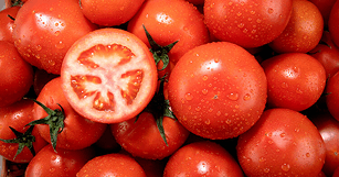 뉴스 썸네일 이미지