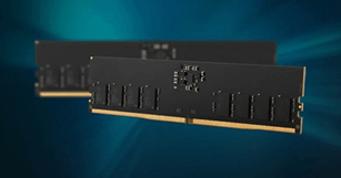 뉴스 썸네일 이미지