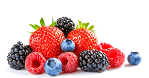 뉴스 썸네일 이미지