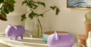 뉴스 썸네일 이미지