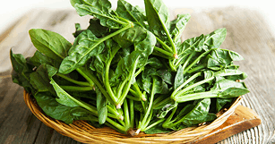 뉴스 썸네일 이미지